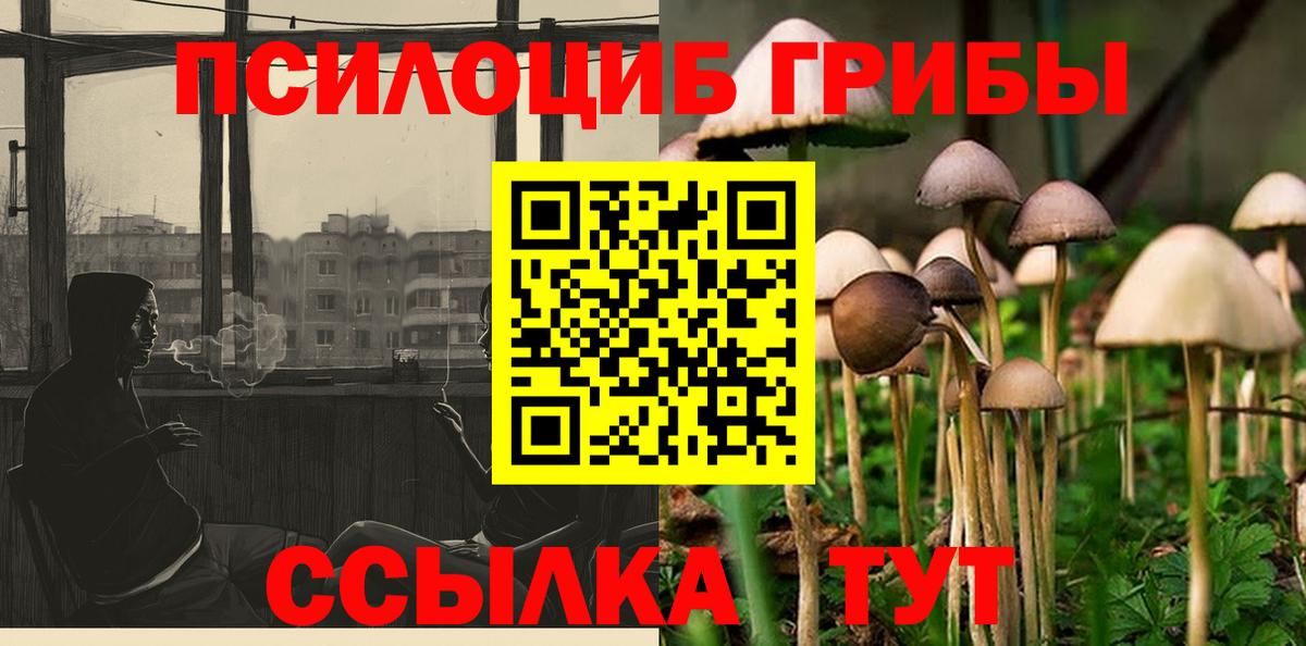 Галлюциногенные грибы MAGIC MUSHROOMS  Вход с VPN  купить наркоту  Горно-Алтайск 