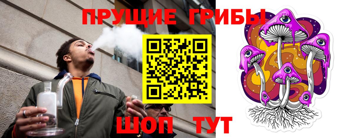 Псилоцибиновые грибы Cubensis Горно-Алтайск